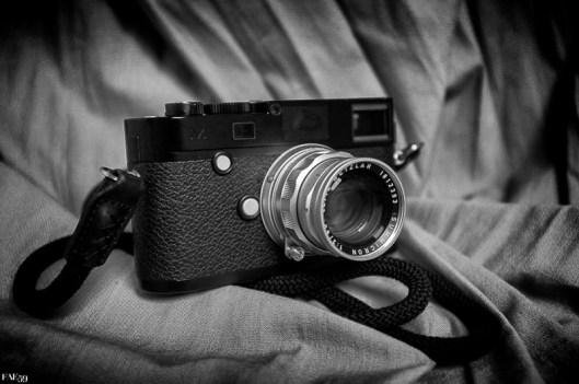 1521421_1444963809065640_1640568636_n-Modifier