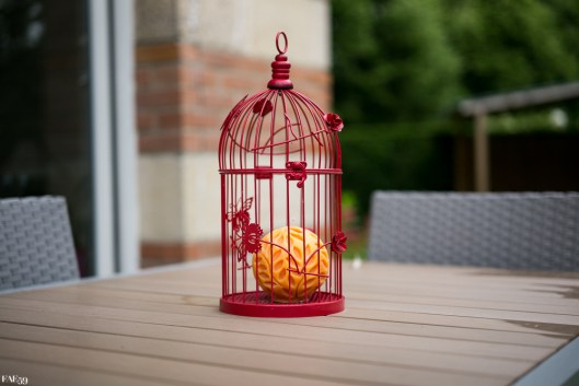 Le Summicron 50mm à f/2,0